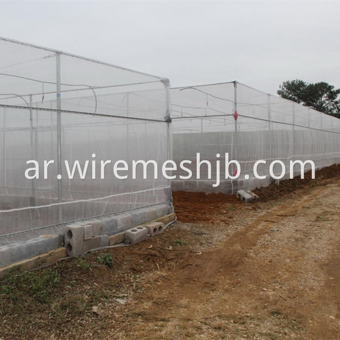 Fine Insect Mesh Netting